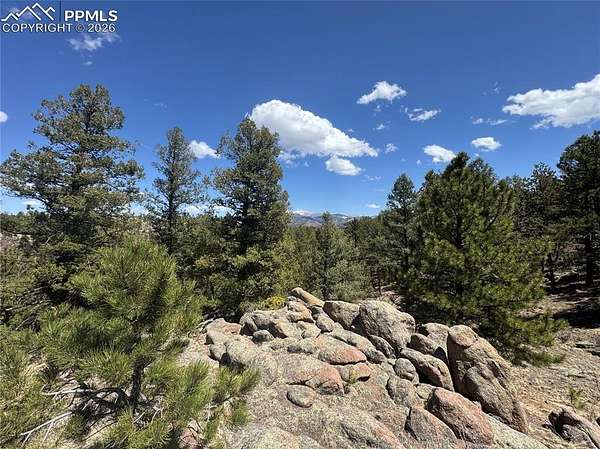 20 Acres of Land for Sale in Florissant, Colorado