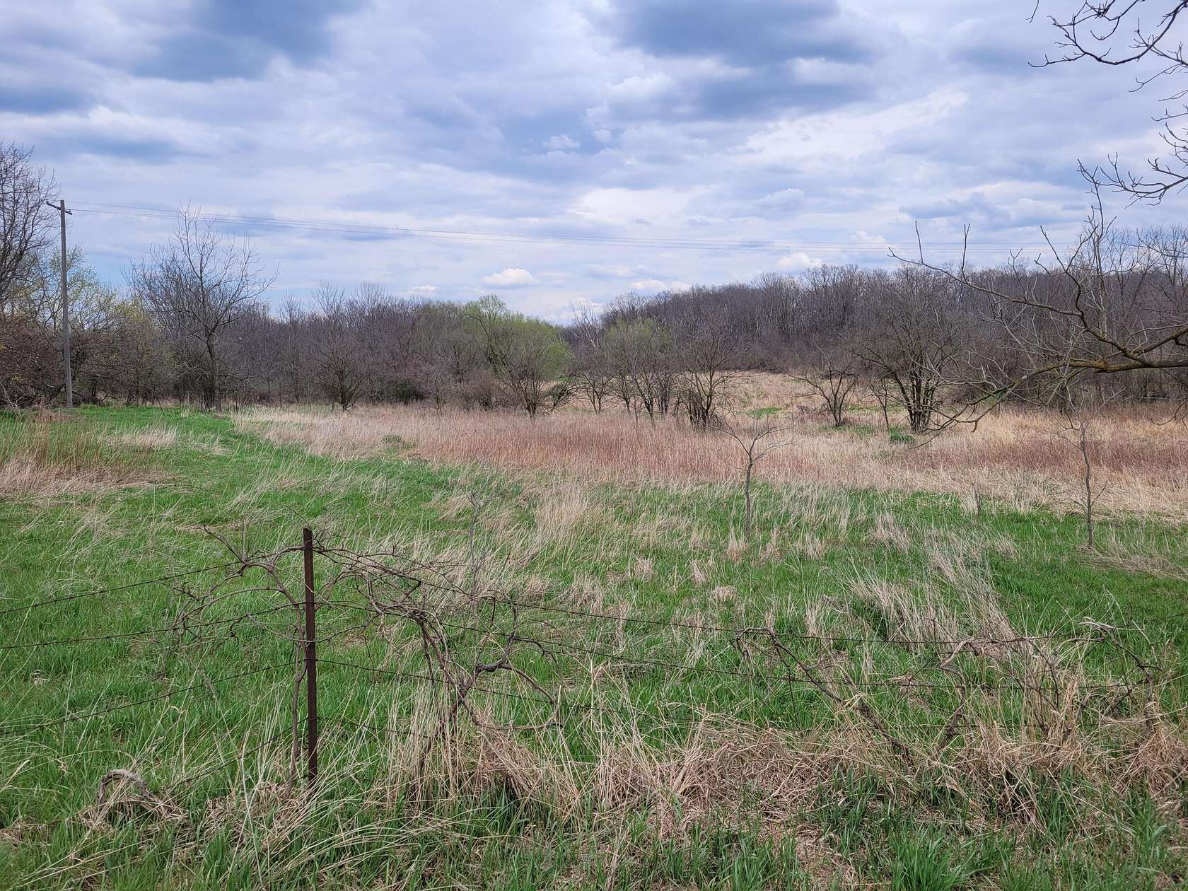 10 Acres of Agricultural Land for Sale in Ann Arbor, Michigan