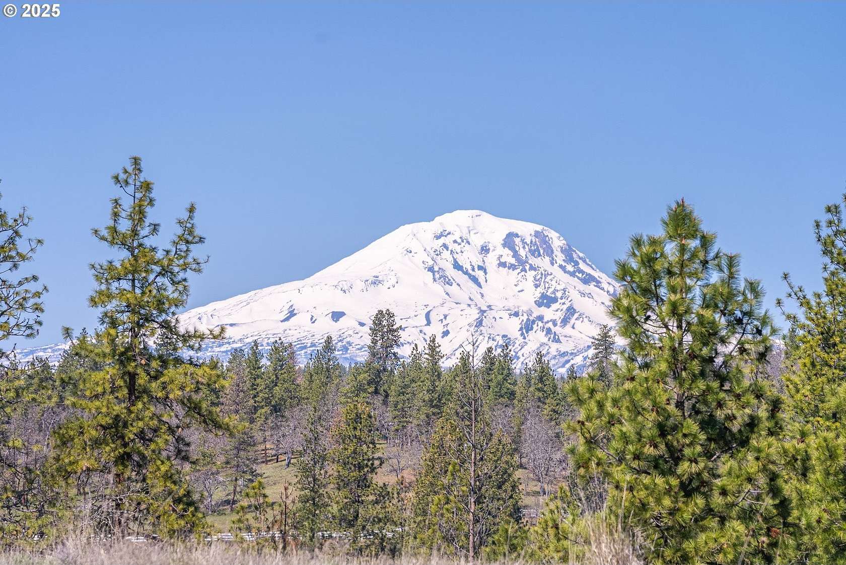 5 Acres of Land for Sale in Goldendale, Washington
