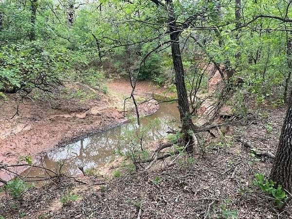 23 Acres of Agricultural Land for Sale in Loving, Texas