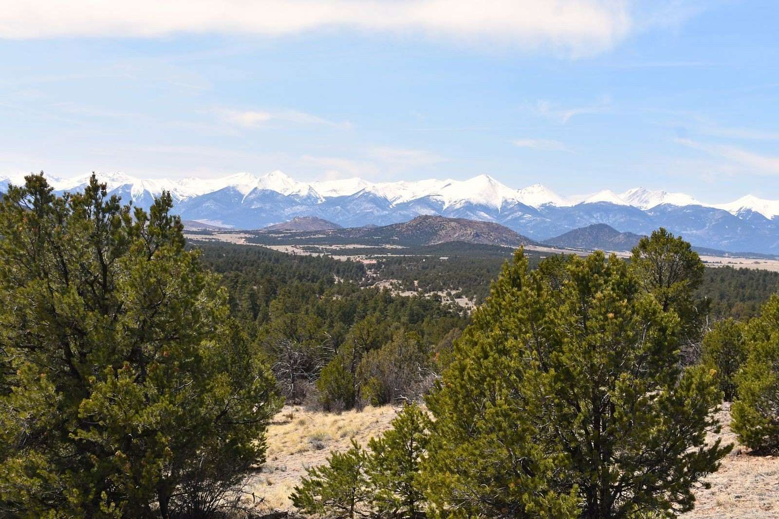 35.5 Acres of Land for Sale in Cotopaxi, Colorado