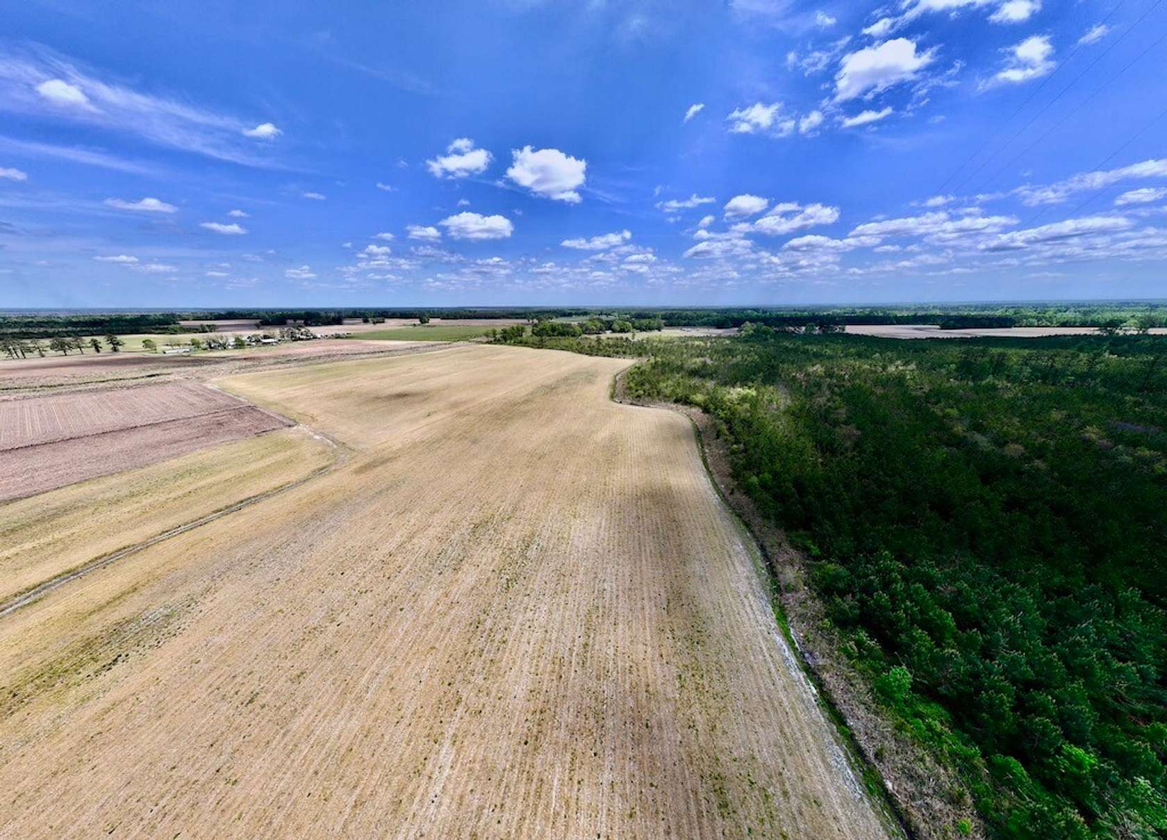 20 Acres of Recreational Land & Farm for Sale in Trenton, North Carolina