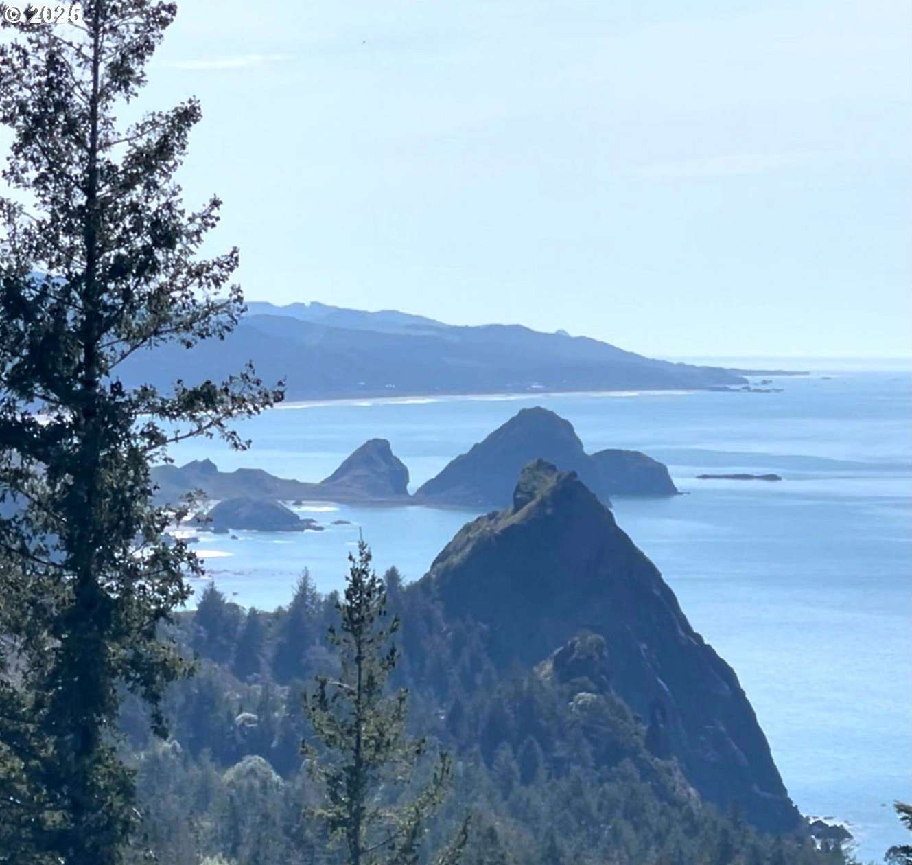 93.9 Acres of Land for Sale in Port Orford, Oregon