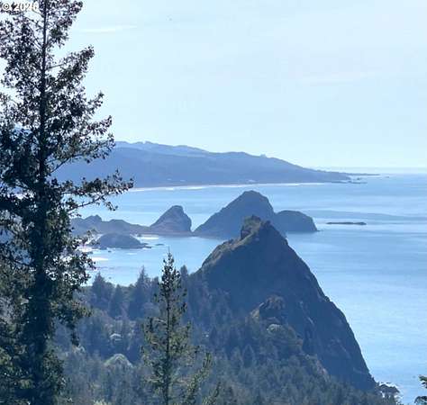 93.9 Acres of Land for Sale in Port Orford, Oregon