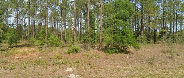 0.23 Acres of Residential Land for Sale in Dunnellon, Florida