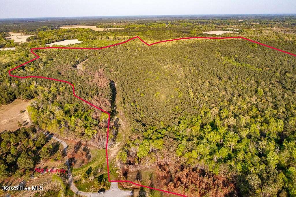 295 Acres of Recreational Land for Sale in Vanceboro, North Carolina