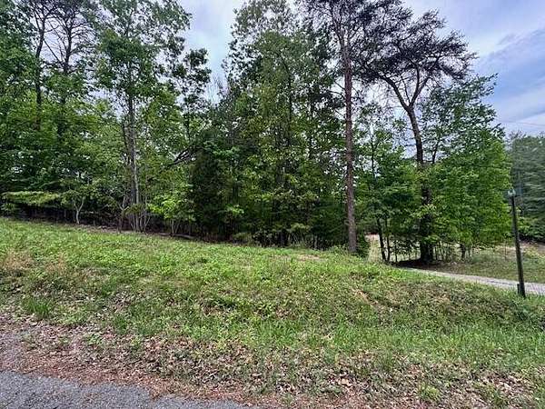 0.67 Acres of Residential Land for Sale in Spring City, Tennessee