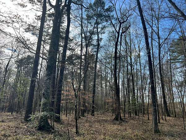 180 Acres of Recreational Land for Sale in Forest, Mississippi