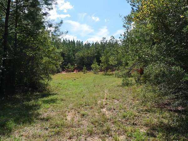 30 Acres of Land for Sale in Shubuta, Mississippi