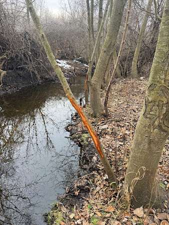 63 Acres of Recreational Land for Sale in Covert, Michigan