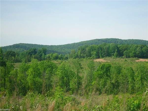 43 Acres of Land for Sale in Denton, North Carolina