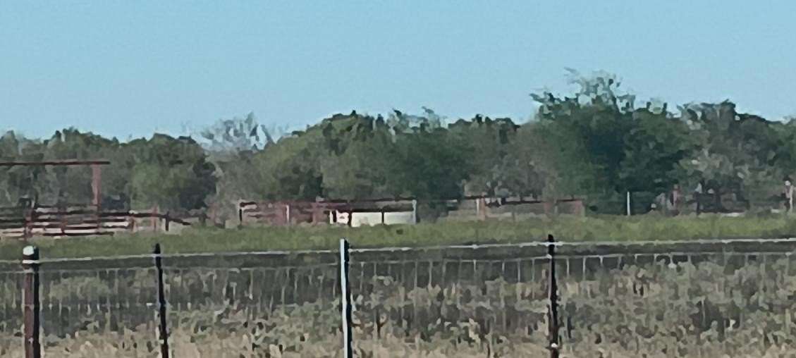 200 Acres of Agricultural Land for Sale in George West, Texas