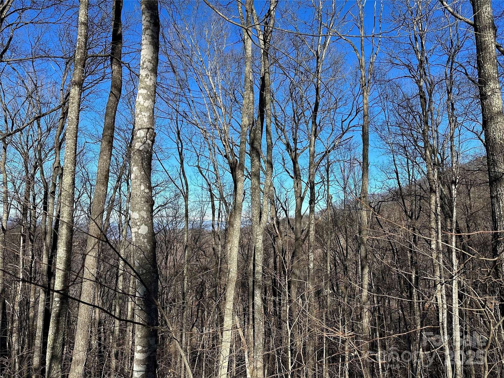 3 Acres of Land for Sale in Waynesville, North Carolina