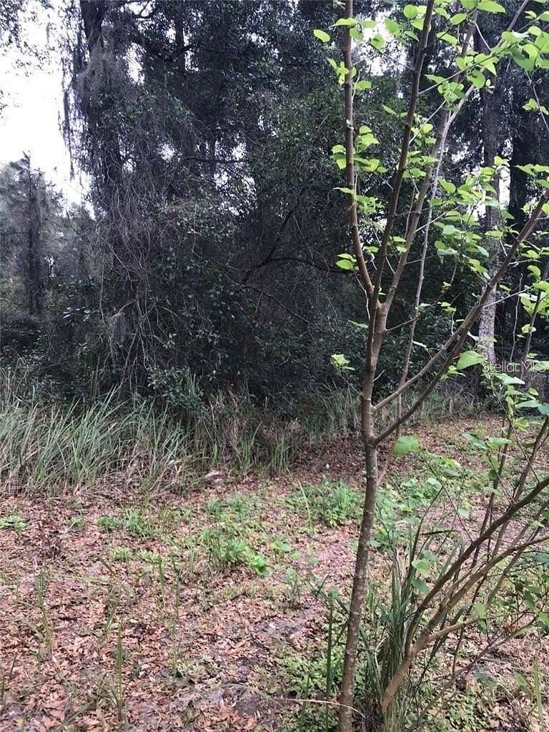 3.33 Acres of Residential Land for Sale in DeLand, Florida