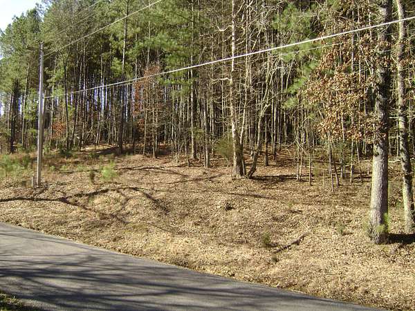 17.7 Acres of Recreational Land for Sale in Spring City, Tennessee
