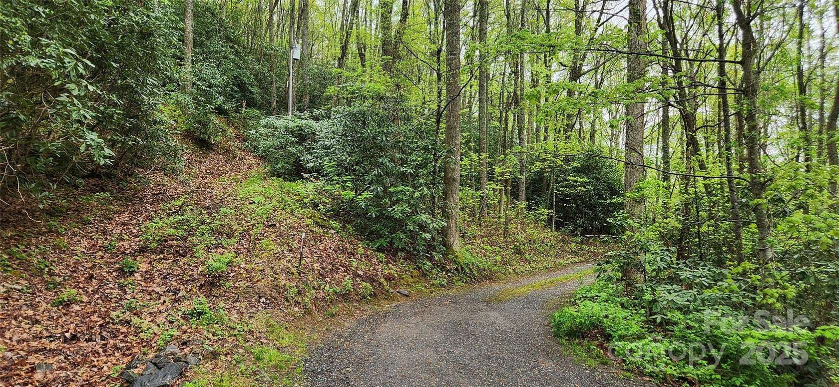0.85 Acres of Residential Land for Sale in Asheville, North Carolina