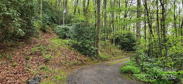 0.85 Acres of Land for Sale in Asheville, North Carolina