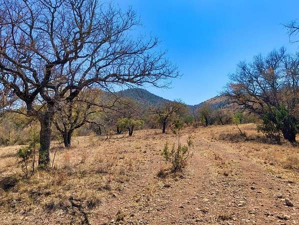 8 Acres of Land for Sale in Fort Davis, Texas