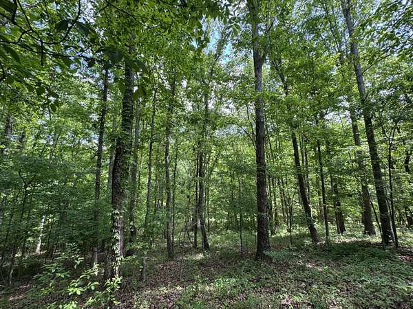 9.83 Acres of Residential Land for Sale in Ringgold, Georgia