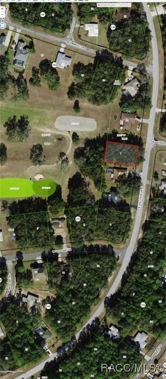 0.3 Acres of Residential Land for Sale in Citrus Springs, Florida