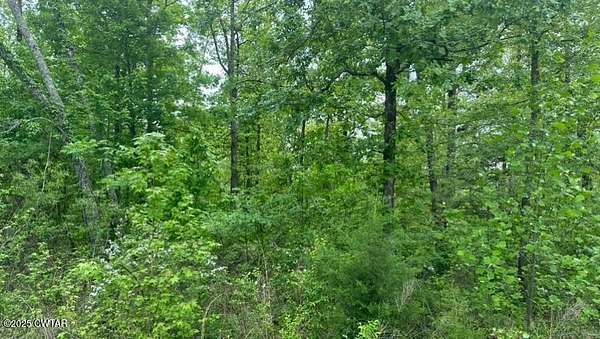 50.1 Acres of Recreational Land for Sale in Finger, Tennessee