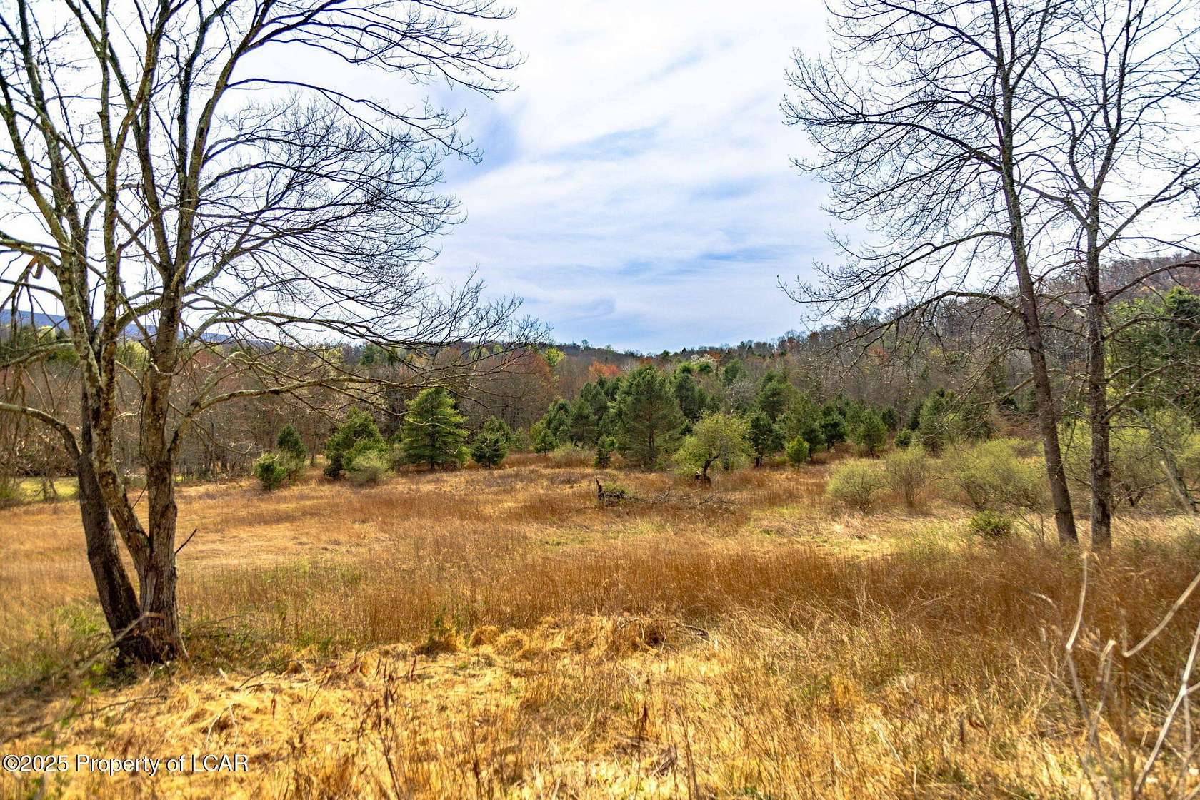 27.9 Acres of Land for Sale in Ringtown, Pennsylvania