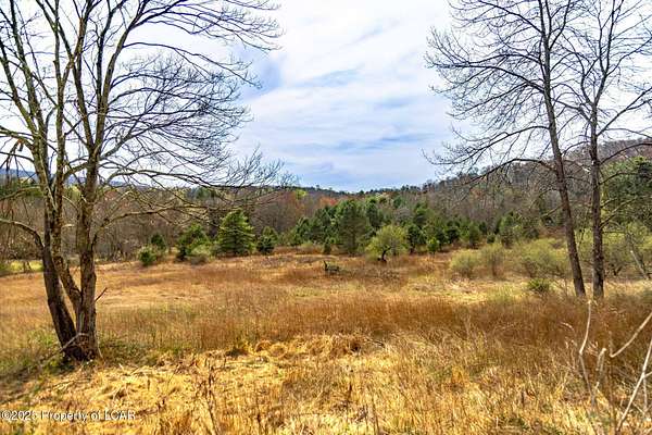 27.9 Acres of Land for Sale in Ringtown, Pennsylvania