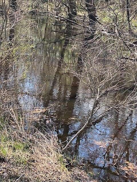 67 Acres of Recreational Land for Sale in Barnwell, South Carolina