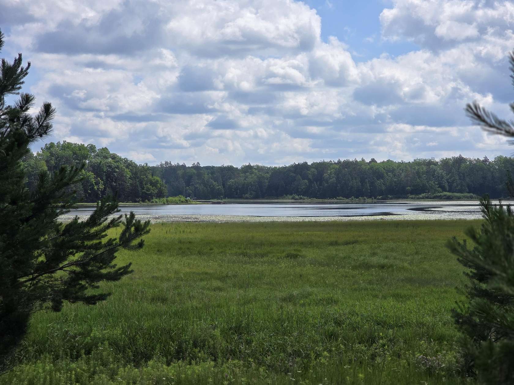 4 Acres of Land for Sale in Curran, Michigan