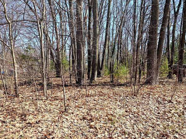 0.29 Acres of Residential Land for Sale in Houghton Lake, Michigan