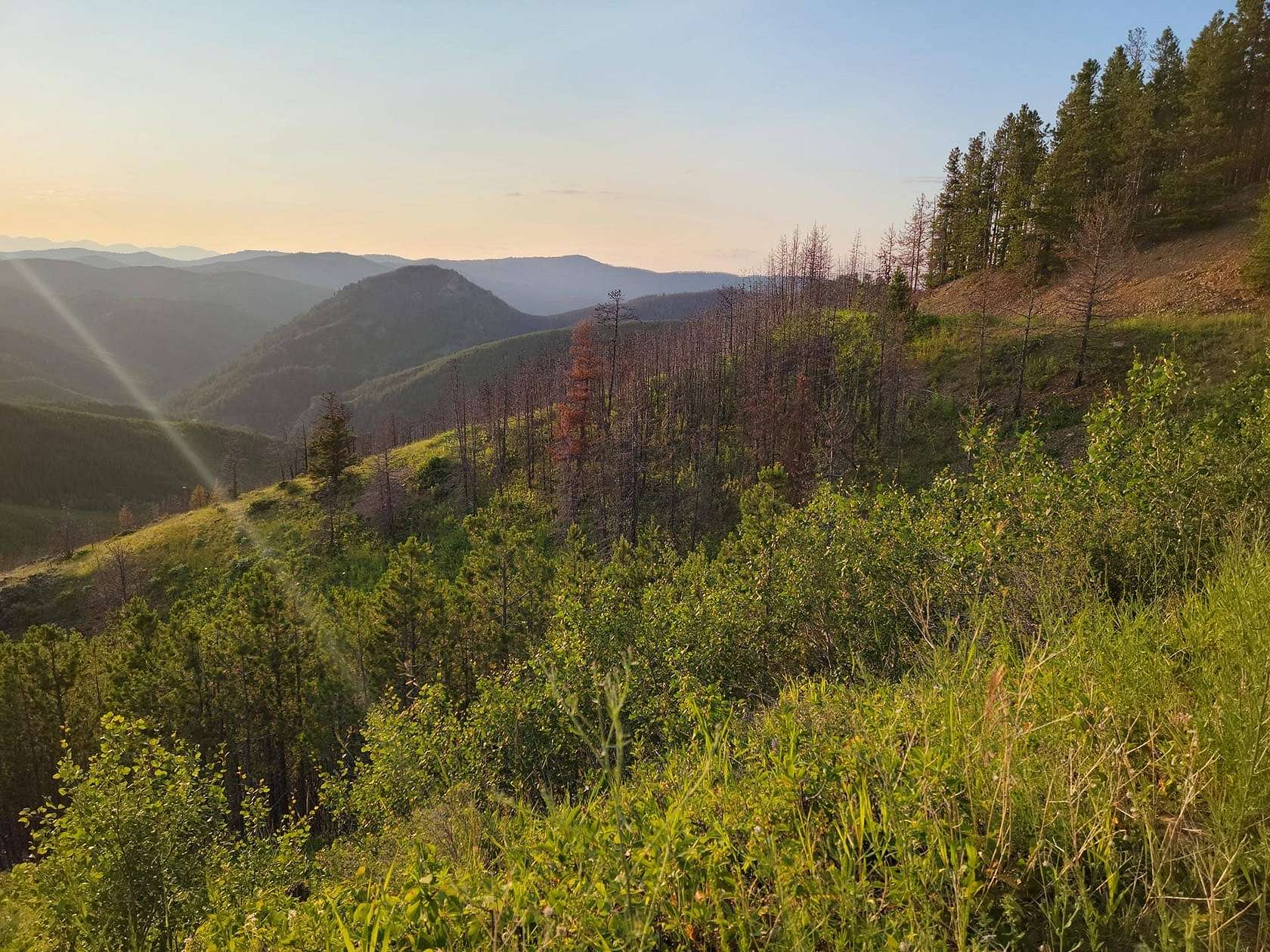 1,062 Acres of Land for Sale in Zortman, Montana