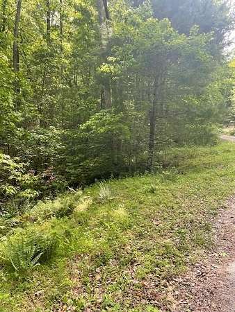 1.55 Acres of Residential Land for Sale in Dawsonville, Georgia
