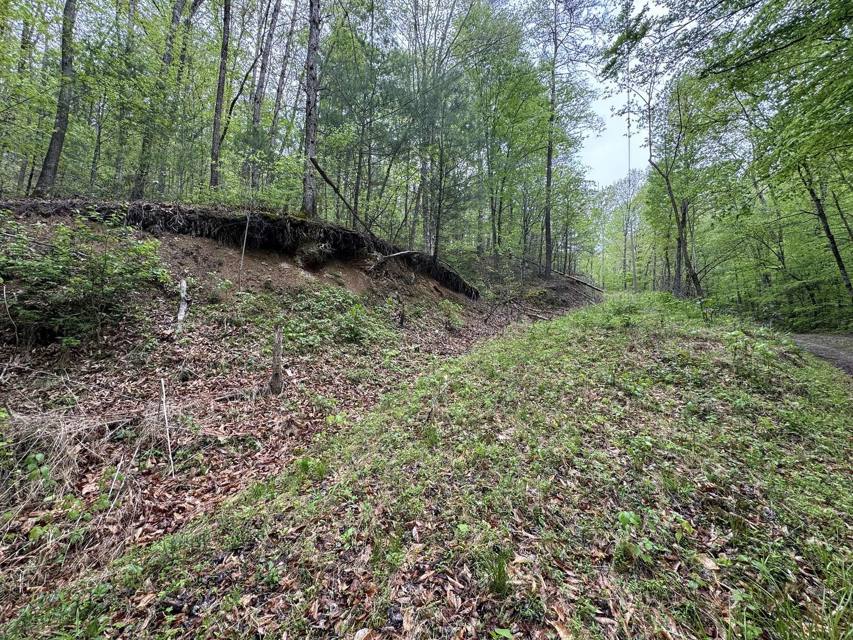 8.56 Acres of Land for Sale in Del Rio, Tennessee