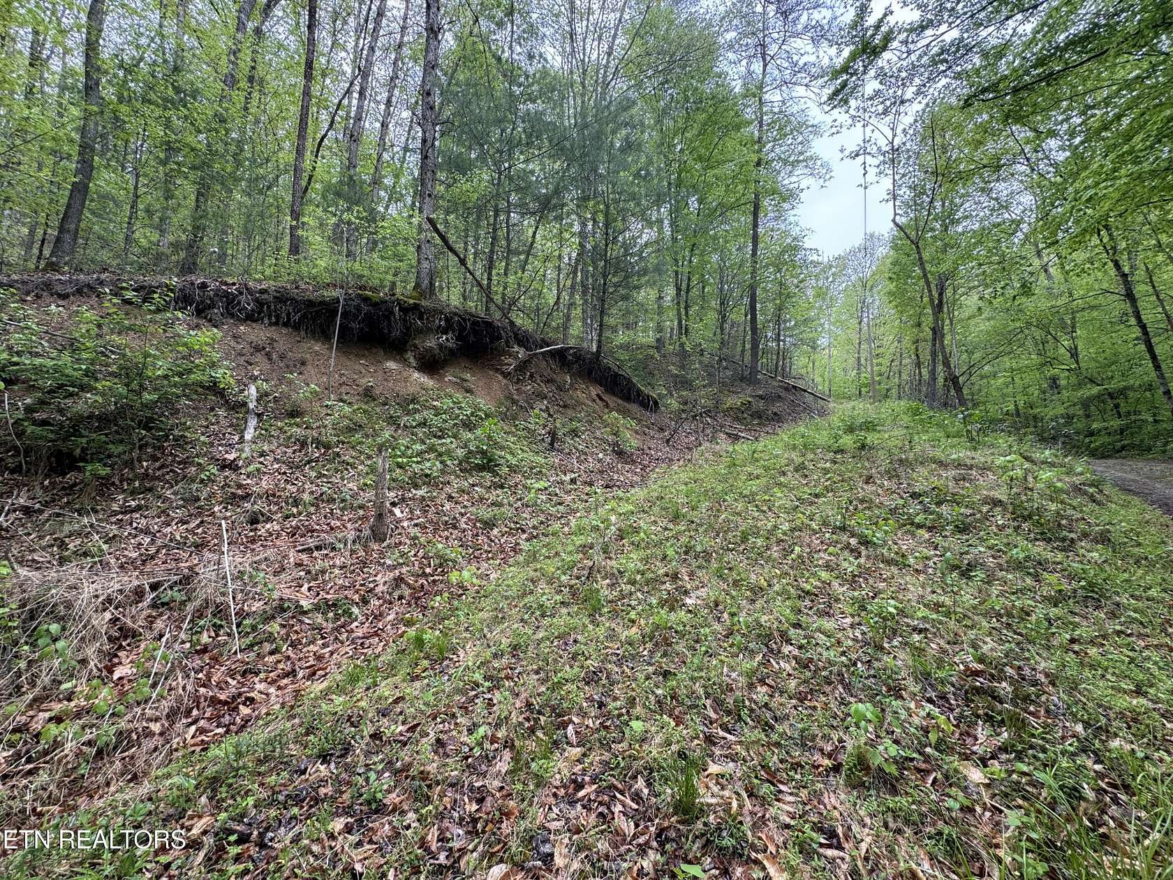 8.56 Acres of Residential Land for Sale in Del Rio, Tennessee