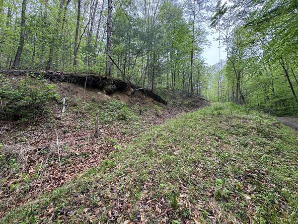 8.56 Acres of Land for Sale in Del Rio, Tennessee