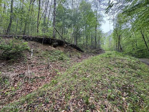 8.56 Acres of Residential Land for Sale in Del Rio, Tennessee