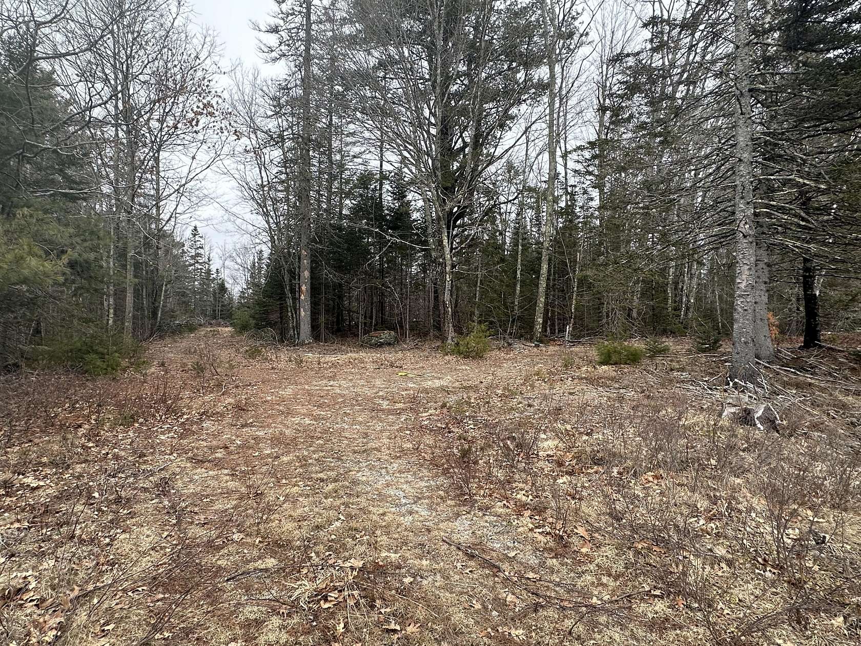 1.15 Acres of Residential Land for Sale in Ellsworth, Maine