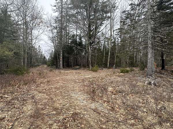 1.15 Acres of Residential Land for Sale in Ellsworth, Maine