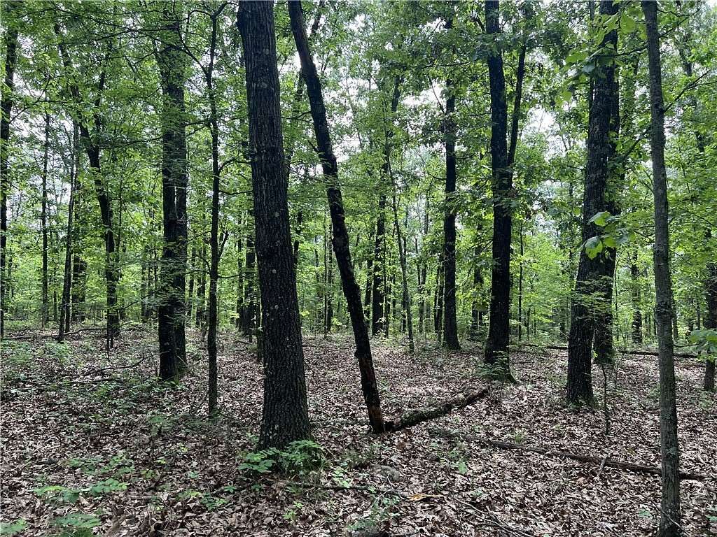 20.7 Acres of Land for Sale in Harrison, Arkansas