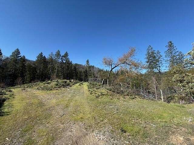 1.2 Acres of Land for Sale in Ruth, California