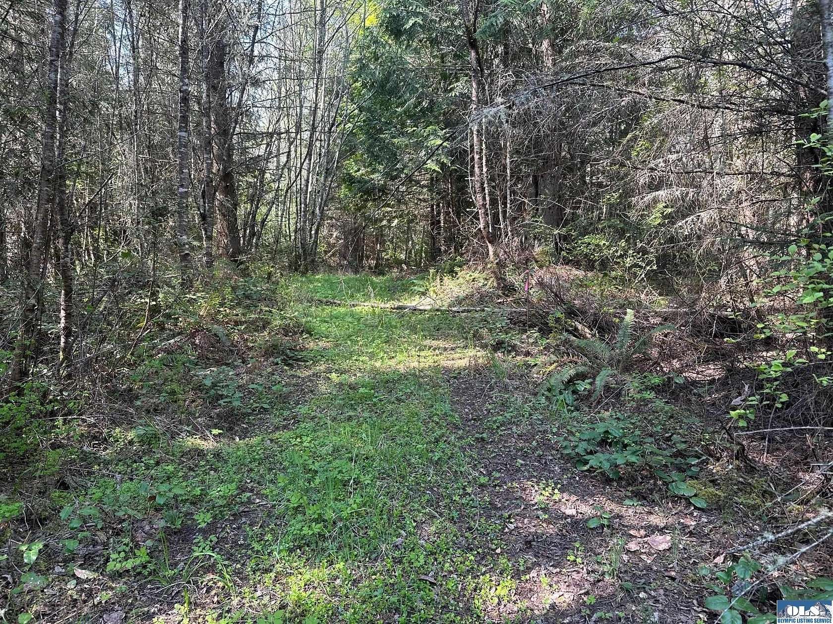 3 Acres of Residential Land for Sale in Port Angeles, Washington