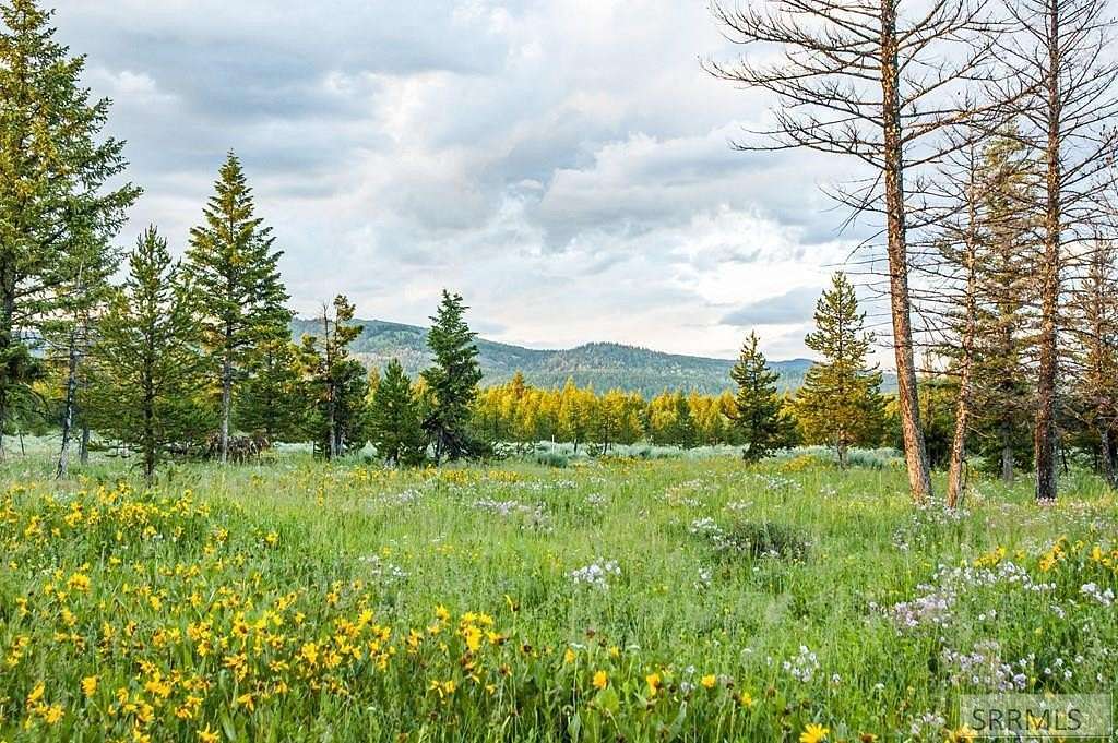 3 Acres of Residential Land for Sale in Island Park, Idaho