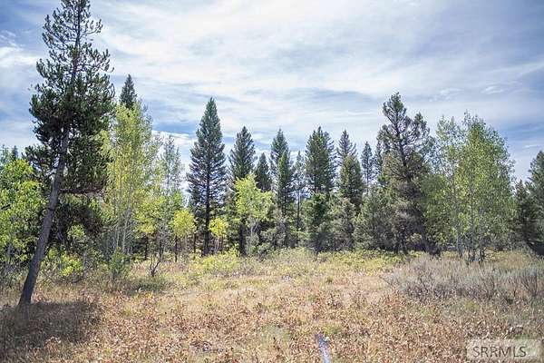 3 Acres of Residential Land for Sale in Island Park, Idaho
