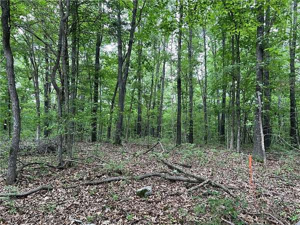 6 Acres of Recreational Land for Sale in Harrison, Arkansas
