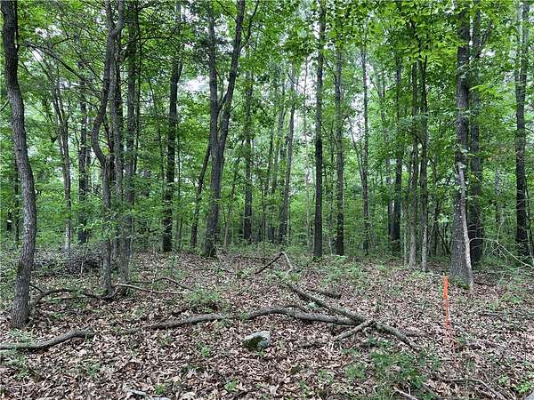 6 Acres of Land for Sale in Harrison, Arkansas
