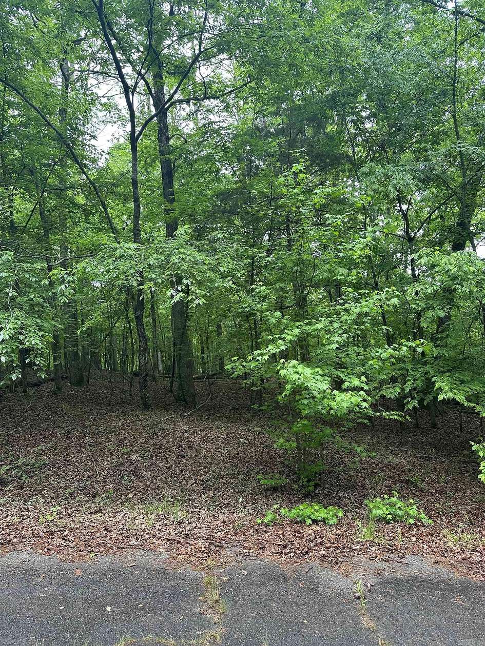 0.24 Acres of Residential Land for Sale in Hot Springs Village, Arkansas
