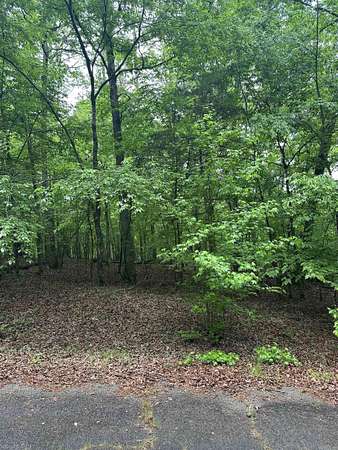 0.24 Acres of Residential Land for Sale in Hot Springs Village, Arkansas