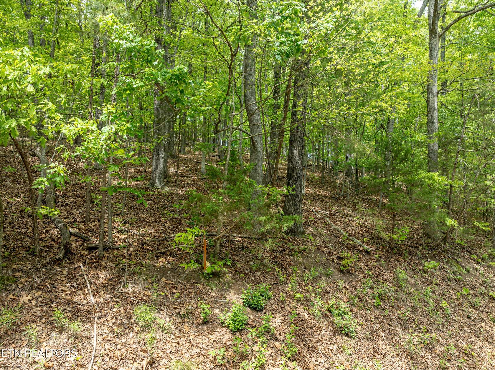 1.86 Acres of Residential Land for Sale in Loudon, Tennessee