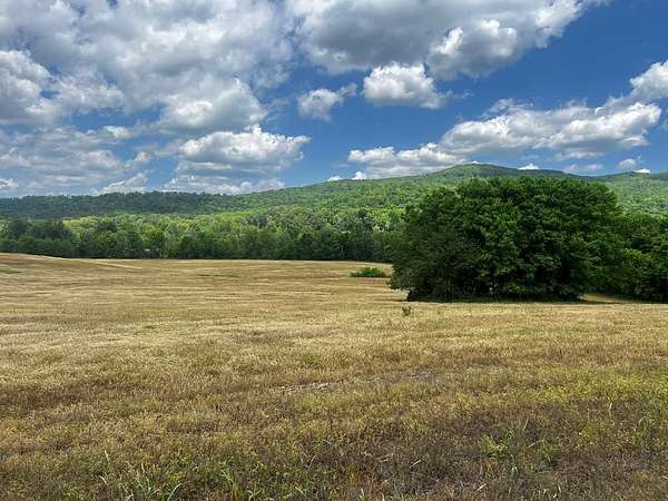 16 Acres of Land for Sale in Spencer, Tennessee