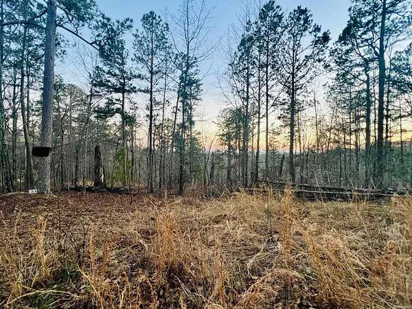 5 Acres of Land for Sale in Yellville, Arkansas